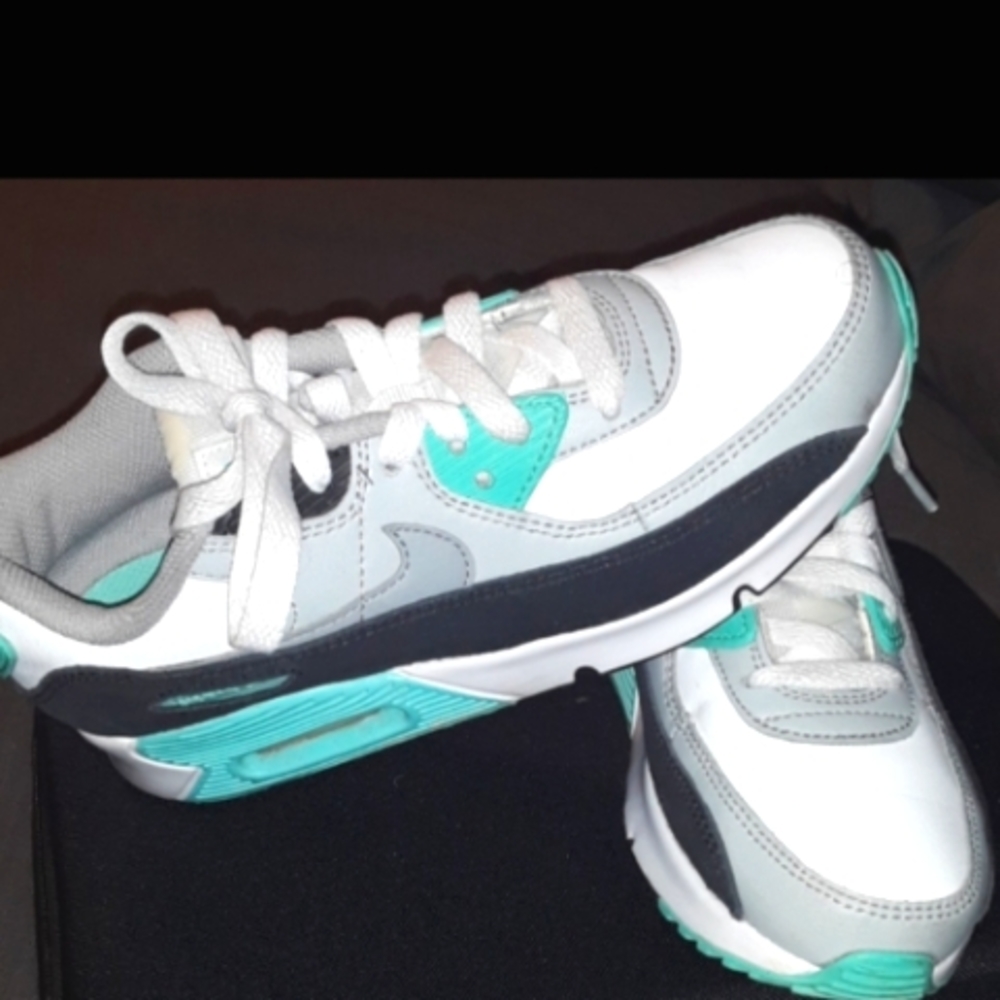 Air Max sneakers